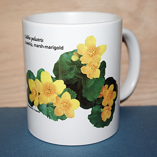 mug DS-120  6679.jpg